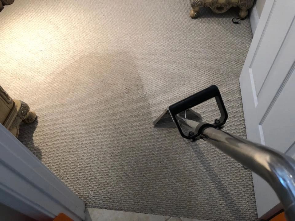 The Original Orlando Carpet Cleaning Company